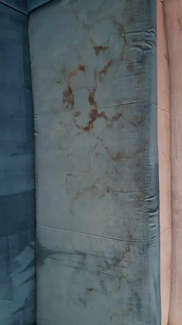 Canapea înainte de igienizare
